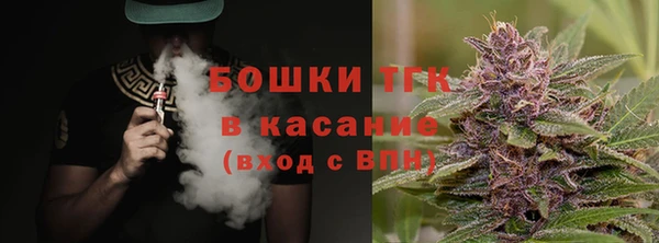 гашик Янаул