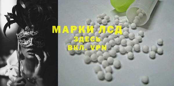 стафф Аркадак