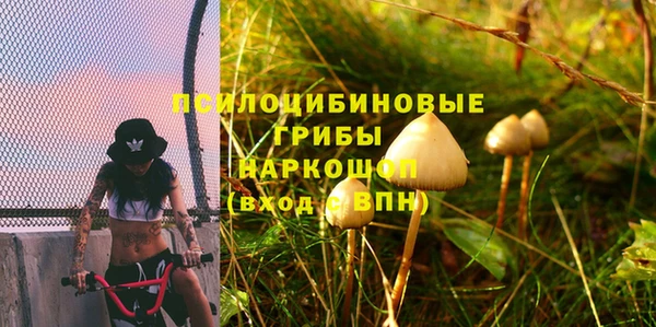 стафф Аркадак
