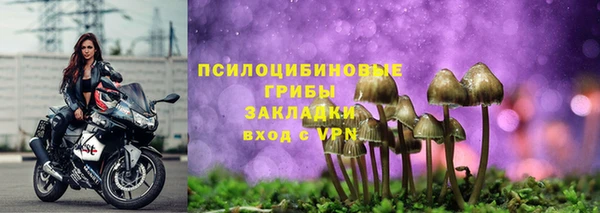 дурь Яранск