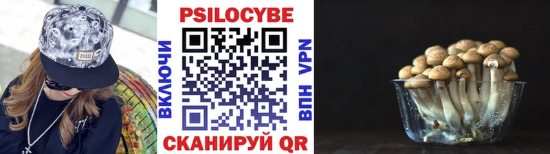 Галлюциногенные грибы мухоморы  kraken сайт  Дзержинск  купить  