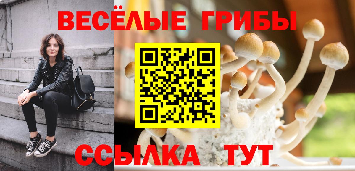 Cocaine  Дзержинск  КОКАИН  Мефедрон кристаллы  Каннабис  Вход с VPN 